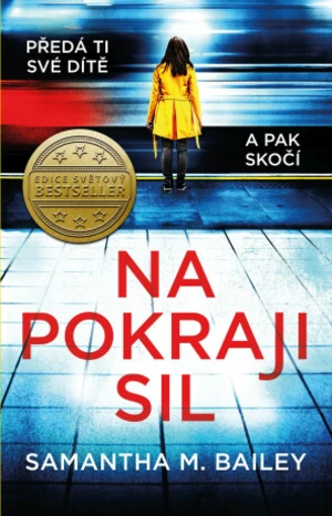 Na pokraji sil - Samantha M. Bailey - e-kniha