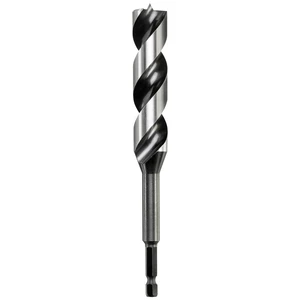 kwb 042812 hadovitý vrták 12 mm Celková dĺžka 165 mm 1/4 "(6,3 mm) 1 ks