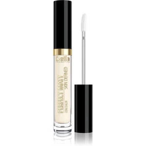 Delia Cosmetics Perfect Matt Skin Defined tekutý korektor odtieň 02 Ivory 2.5 ml