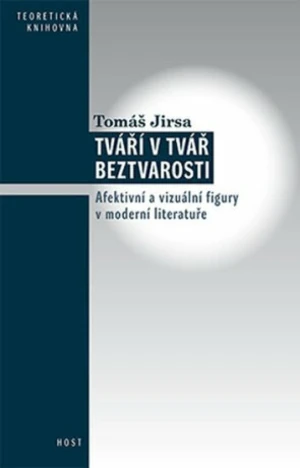 Tváří v tvář beztvarosti - Tomáš Jirsa