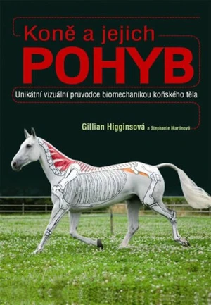 Koně a jejich pohyb - Gillian Higginsová