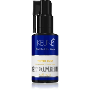 Keune 1922 Tinted Dust pudr na vlasy pro objem a zakrytí šedin 6 g