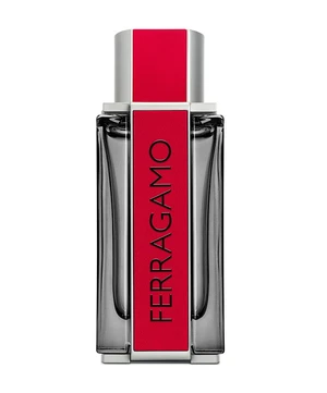 Salvatore Ferragamo Red Leather parfémovaná voda pro muže 100 ml