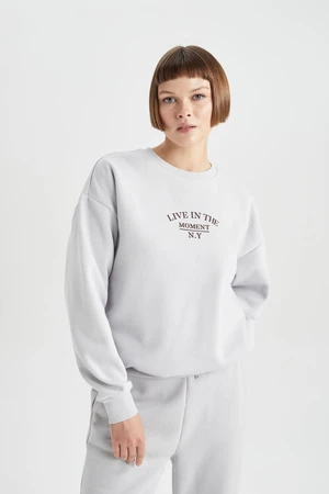 DEFACTO Relax Fit Crew Neck Thick Sweatshirt