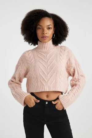 DEFACTO Regular Fit Half Turtleneck Knitwear Sweater