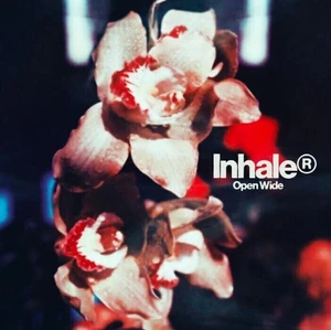 Inhaler - Open Wide (LP)