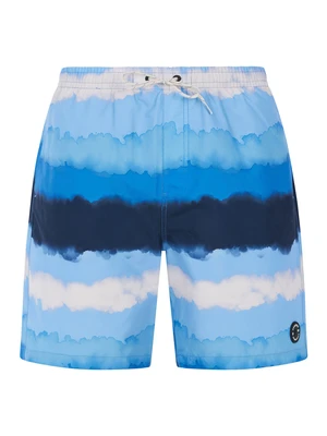 Men's beach shorts Protest PRTHAMSEY