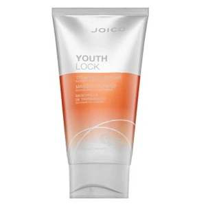 Joico Youth Lock Treatment Mask maska pro ochranu a lesk vlasů 150 ml