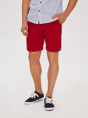 Diverse Men's shorts BERBET VII