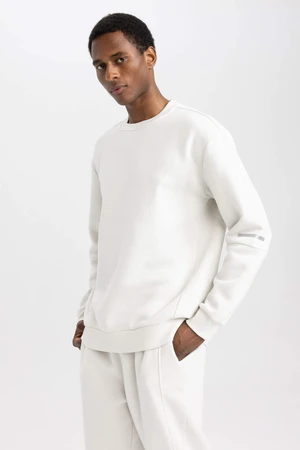 DEFACTO Standard Fit Long Sleeve Sweatshirt