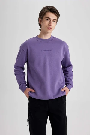 DEFACTO Boxy Fit Long Sleeve Sweatshirt