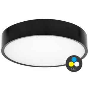 Stropní LED svítidlo Ecolite MARTIN WMAT350-25W/CR 3000/4000K černá IP65