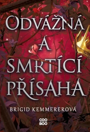 Odvážná a smrtící přísaha - Brigid Kemmererová - e-kniha