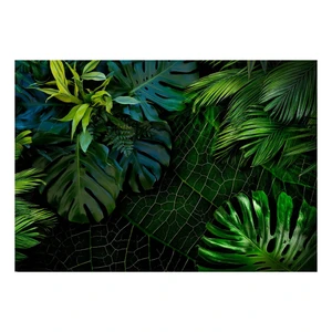 Veľkoformátová tapeta Artgeist Dark Jungle, 400 x 280 cm