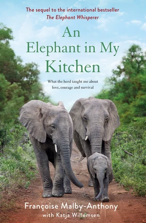 An Elephant in My Kitchen