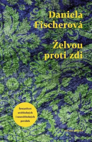 Želvou proti zdi - Daniela Fischerová