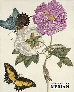 Maria Sibylla Merian - Daniel Kiecol