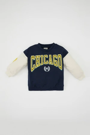 DEFACTO Baby Boy Crew Neck Printed Sweatshirt