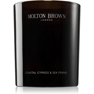 Molton Brown Coastal Cypress & Sea Fennel vonná sviečka s morskými extraktmi a esenciálnymi olejmi 190 g