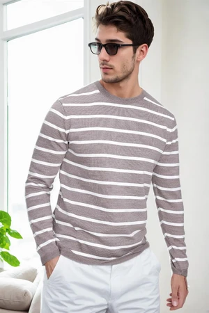 99741 Dewberry Crew Neck Striped Casual Knitwear Sweater-VISION