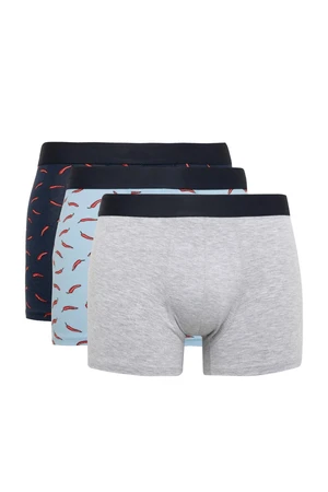 DEFACTO Regular Fit 3-Piece Boxer