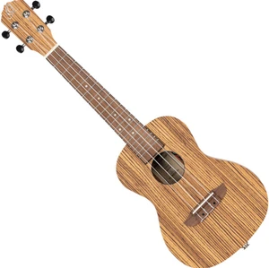 Ortega RFU11ZE-L Natural Koncertné ukulele