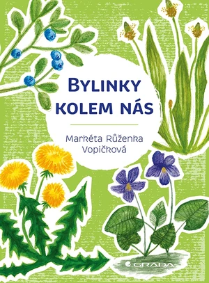 Kniha: Bylinky kolem nás od Vopičková Markéta Růženka