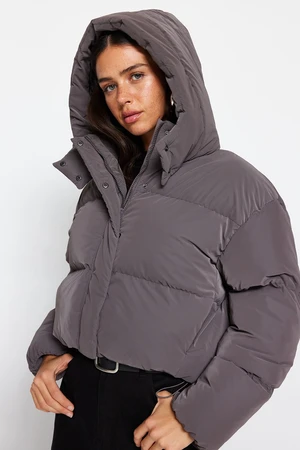 Trendyol Mink Oversize Hooded Waterproof Down Jacket