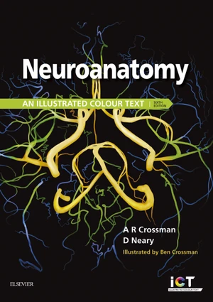 Neuroanatomy E-Book