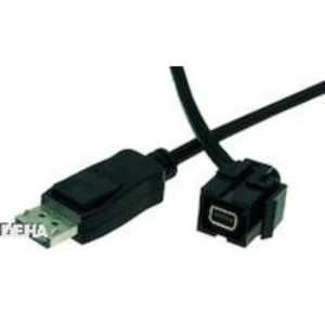 Mini-DisplayPort kabel Bachmann [1x mini DisplaPort zásuvka - 1x mini DisplayPort zástrčka] černá 0.50 m