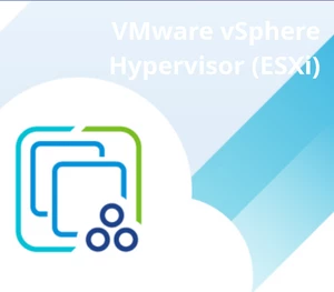 VMware vSphere Hypervisor (ESXi) 7.0U3g CD Key