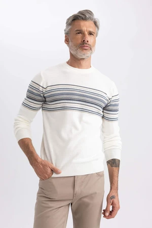 DEFACTO Standard Fit Crew Neck Knitwear Pullover