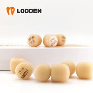 5pcs Lodden Dental Lithium Disilicate Press Ingots Cube HT/ LT for Dental Lab CAD/CAM dental odontología dental materials