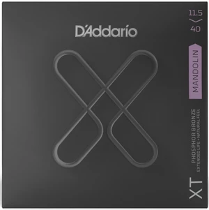 D'Addario XTM11540 Corde Mandolino