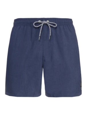 Men's beach shorts Protest DAVEY