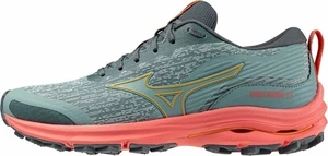 Mizuno Wave Rider TT Lead/Carrot Curl/Nasturtium 40 Traillaufschuhe