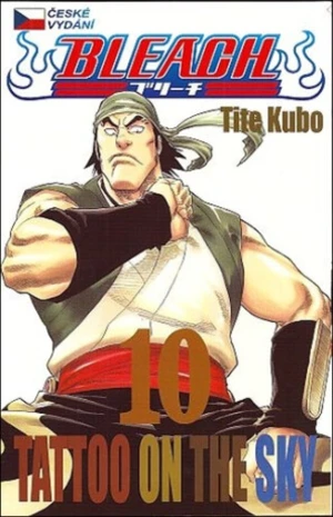 Bleach 10 - Tite Kubo