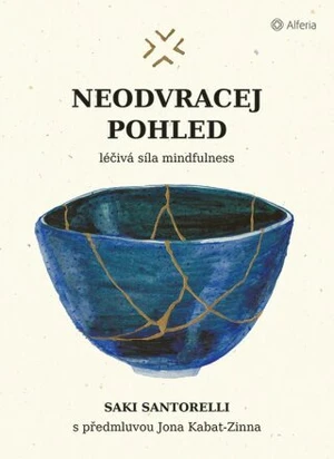 Neodvracej pohled - Saki Santorelli - e-kniha