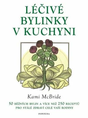 Léčivé bylinky v kuchyni - Kami McBride