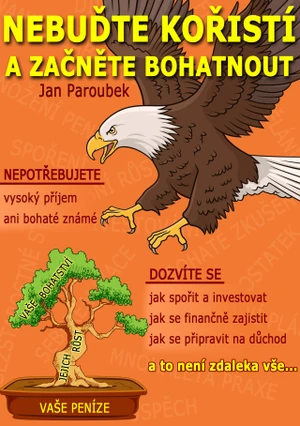 Nebuďte kořistí a začněte bohatnout - Jan Paroubek - e-kniha