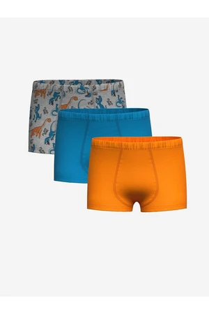 LC Waikiki Printed Boy's Boxer Set of 3