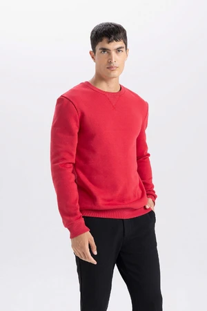 DEFACTO Red Regular Fit Crew Neck Thick Basic Plain Sweatshirt