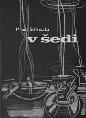 V šedi - Milada Střítezská, Tomáš Kypta