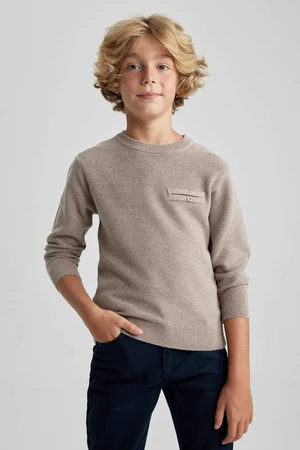 DEFACTO Boy Regular Fit Crew Neck Pullover