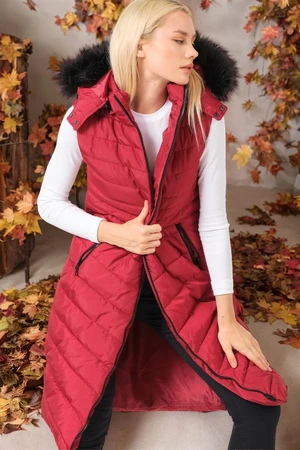 Z6752 DEWBERRY LADIES' VEST-PLAIN BURGUNDY