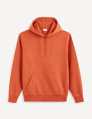 Celio Vesix Hoodie - Men