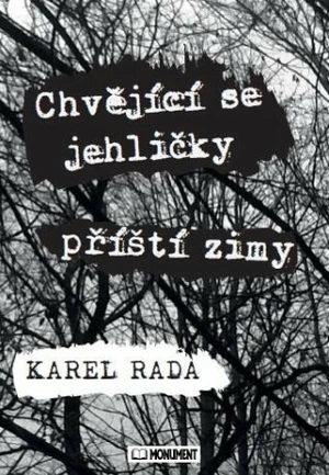 Chvějící se jehličky příští zimy - Karel Rada