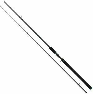 Salmo Tollmaster Lansetă 2,4 m 40 - 60 g 2 părți