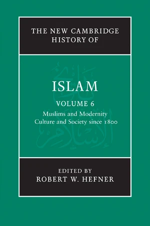 The New Cambridge History of Islam