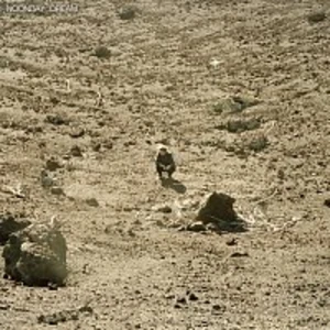 Ben Howard – Noonday Dream CD